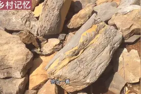 山东大叔上山找石头做盆景，好不容易找到一块，最后为啥不要了视频封面