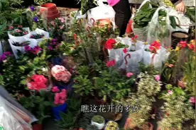 西五环外最热闹的早市，各种果蔬品种众多，热闹程度一点不输大集