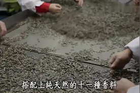 水煮瓜子原来是这样做出来的？煮瓜子工厂大揭密【徽记煮瓜子】视频封面
