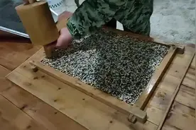 米花糖制作全教程，你们学会了吗？视频封面