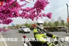 洛阳：警车开道铁骑护航最高礼遇护送援鄂医护 有人想喝牛肉汤视频封面