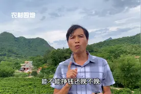 农村做自媒体究竟有多赚钱！21万粉丝能赚多少钱，听听炮哥咋说视频封面