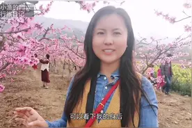 西安的春天太美了！秦岭脚下免费景观大道，路边大片花海太醉人视频封面