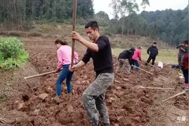 【村花争夺战】斗鱼339户外慌张帮大足基地村花家翻地，都是戏精视频封面