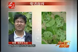 梨树黑星病防治视频封面