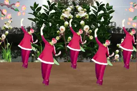 很有喜庆感的民风广场舞《斑鸠调》动作简单又好看的中老年健身舞