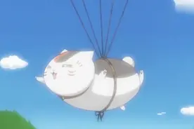 日常吸猫，可爱的猫咪老师-真的太萌了