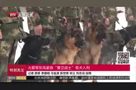 火箭军东风家族“警卫战士”军犬入列
