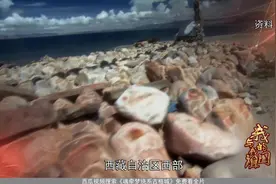 西藏是世界上人口密度最小的地区，平均海拔高丨魂牵梦绕古格城视频封面