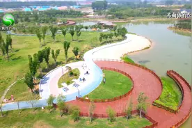 焦作市体育局：超燃快闪！《在灿烂的阳光下》献礼建党100周年图片