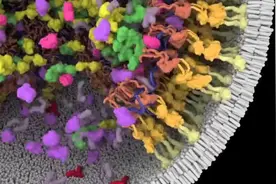 医学科普动画：HIV是如何感染到人体的？视频封面