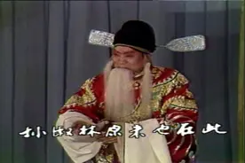 丝弦《三进士》全剧（九）两个州官打官司乐坏了巡按，安禄昌演唱视频封面