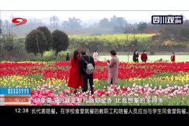不负春光！去成都空港花田拍飞机 记得带上身份证丨新闻现场0302视频封面