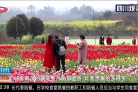 不负春光！去成都空港花田拍飞机 记得带上身份证丨新闻现场0302视频封面