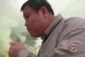 侣行：270带你近距离看硫磺的形成，平时可根本见不着，真神奇视频封面