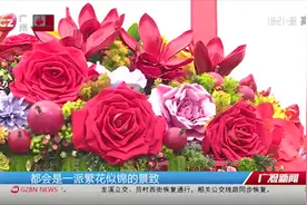 广州：园博会开幕，新品月季花开富贵视频封面