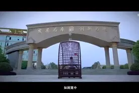 高一智慧作业宣传片《高中智慧作业宣传片》视频封面