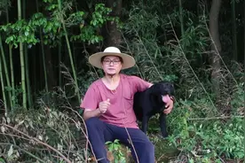 一剂白头翁汤治疗犬细小视频封面