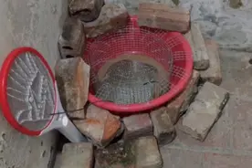 电蚊拍电老鼠，老鼠飞起来。视频封面