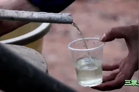 宜宾农村：用枯树叶炼油，源源不断樟油流出来，能卖几十元一斤