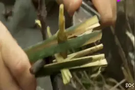 生活：荒野求生   “贝爷”为什么不拍了   原因或可能是被解雇视频封面