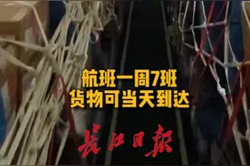武汉开通直飞大阪货运航班，每天一架当天到达视频封面