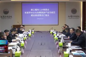 都江堰市人大常委会检查李冰文化创意旅游产业功能区建设情况视频封面