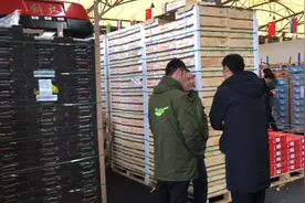 智利车厘子国内大量上市小伙带你看批发市场进货价低至20元一斤视频封面