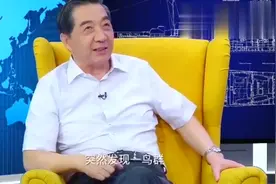 张召忠：印度飞行员遇到鸟群，一着急把导弹都扔了，炸了机场视频封面