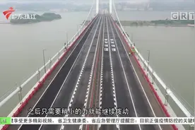 专家解答虎门大桥抖动原因 何时解封还需研讨视频封面