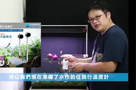 蠕动的白线虫，缸壁产生噁心菌丝怎麽办？无CO2 天然水草蔬菜缸视频封面