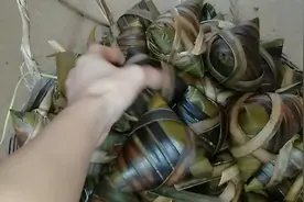 阳江人包的粽子是怎样的，有没有雷同的，大家一起看看吧？视频封面