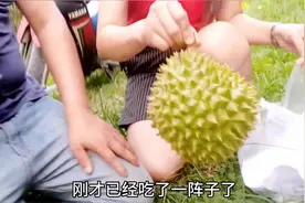 亲戚家的榴莲让我和女友现摘现吃，带剌的果然不好惹一眨眼手被扎视频封面