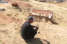 五一自驾：从济南到祁连山脚下，山下放羊大爷的放羊神器太好玩了视频封面