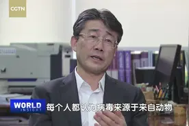 深度专访中疾控主任高福：回溯做出“人传人”结论的前前后后视频封面