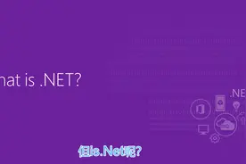 什么是.NET视频封面