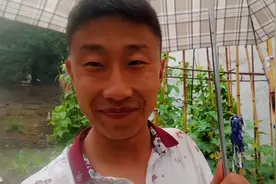 为什么农村特别的期盼下雨。下雨和浇地是两个概念。视频封面