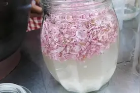小玉自酿桃花醉，只需4种材料，美容又养颜，女儿馋得口水直流。视频封面
