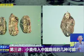 首都科学讲堂 | 揭开小麦传入中国之谜 第三讲视频封面