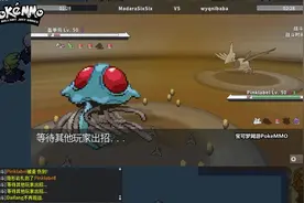闪光水晶灯火灵无分级单打 191203PokeMMO宝可梦视频封面