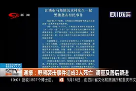 江油野熊咬死村民 特刑警紧急出动 野熊袭击事件已致3人死亡视频封面