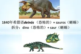 零基础记单词—dinosaur恐龙视频封面