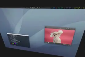 Manjaro Gnome 使用 wayfire 3D 桌面