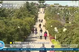江苏各地规范祭扫秩序，现场祭扫预约限流，“网上祭扫”更清明视频封面