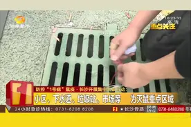 防控“1号病”鼠疫，长沙开展集中灭鼠行动，特制鼠药已投放视频封面