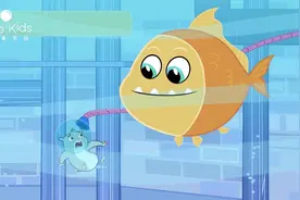 嘟嘟小仓鼠：金鱼也能这么大？一口吃掉了小仓鼠壮壮