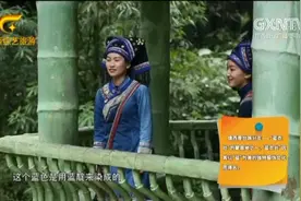 靖西壮族被称为蓝衣壮 是因为他们穿蓝色衣服|书记县长当导游0229视频封面