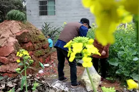 老人下葬后要做“七”，每7天一次，为啥“五七”最重要？视频封面