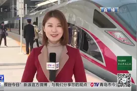 1100多万临沂人终圆梦！日兰高铁来了，日曲段高铁正式通车视频封面