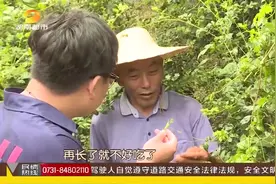 张家界的奇特物种“茅岩莓茶”，被誉为神仙草，来看它的神奇之处视频封面